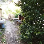 Apartment Near Archaeological Museum In Pula In Pluj